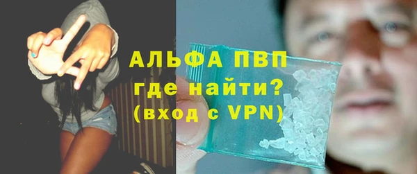 винт Пересвет