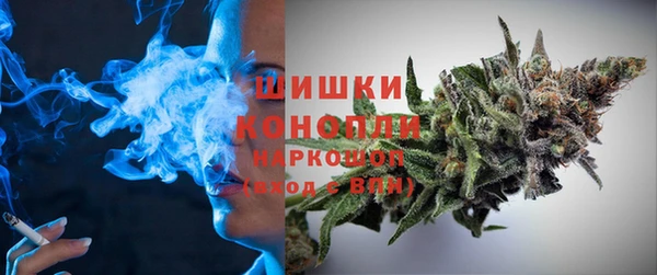 PSILOCYBIN Осинники