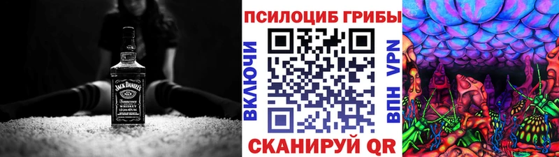 Псилоцибиновые грибы Cubensis Туринск