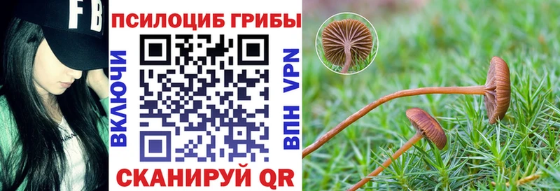 Псилоцибиновые грибы мицелий  где найти   Туринск 